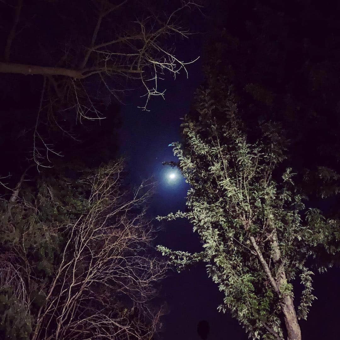 雅-MIYAVI-さんのインスタグラム写真 - (雅-MIYAVI-Instagram)「Moon in LA. 🌙 #UnderTheSameSky」3月16日 7時20分 - miyavi_ishihara