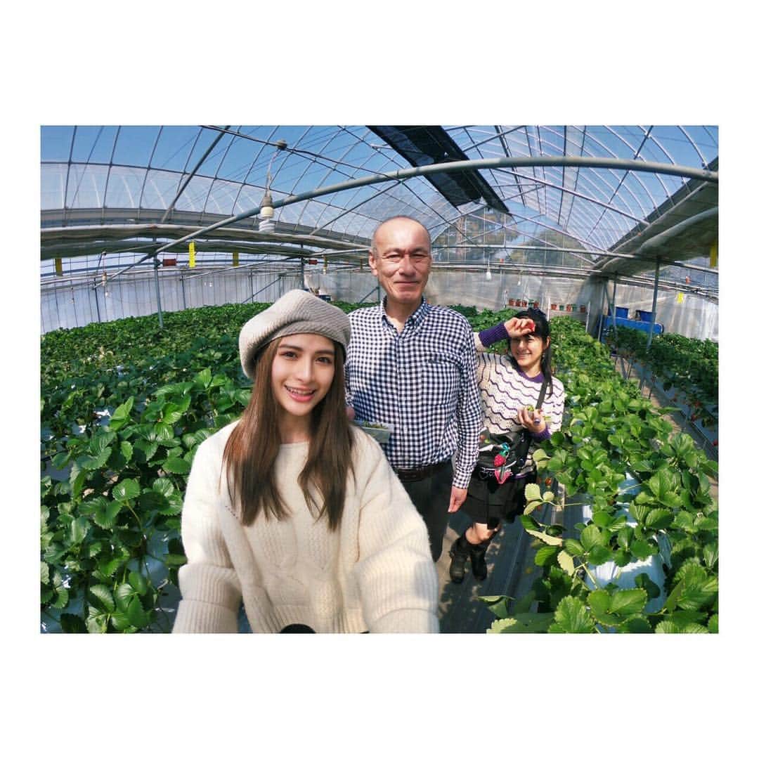 高橋和美のグルメインスタ