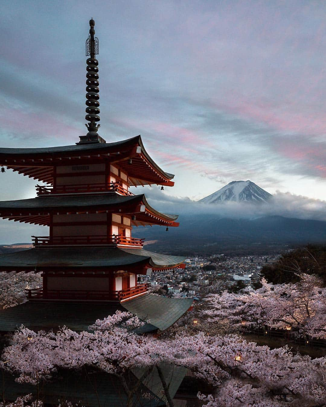 キャセイパシフィック航空さんのインスタグラム写真 - (キャセイパシフィック航空Instagram)「#TravelAdventures: It's that magical time of the year again when the Sakuras begin to bud and bloom. Where will you go to view the famed cherry blossoms? ⠀⠀⠀⠀⠀⠀⠀⠀⠀ ⠀⠀⠀⠀⠀⠀⠀⠀⠀ 每年三、四月都是前往日本賞櫻的最佳季節！你今年的賞櫻之旅會由福岡、大阪，還是札幌開始呢？⠀⠀⠀ ⠀⠀⠀⠀⠀⠀⠀⠀⠀ Credit: @conormccann」3月15日 22時55分 - cathaypacific