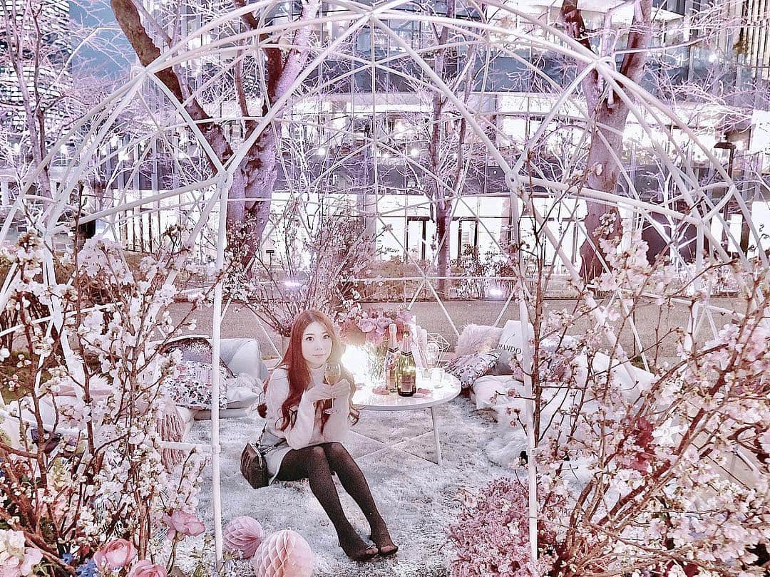 上野瞳さんのインスタグラム写真 - (上野瞳Instagram)「一足お先に夜の #お花見 をしてきました🌸﻿ ﻿ ﻿ 昨夜は #六本木の東京ミッドタウンガーデンで﻿ 3月15日～4月14日中に開催される﻿ 「CHANDON BLOSSOM LOUNGE 」﻿ オープニングセレモニーへ🙌﻿ 沢山のお花に囲まれたお家みたいなフォトスポット﻿ がすごく可愛かったです🥰❤️👏﻿ ﻿ あの通り全部桜だから咲いたら絶対綺麗だよね🌸﻿ #シャンパン も前は飲めなかったのに昨日は﻿ 美味しいー！ ってなっておかわりもらっちゃった﻿ くらいだから期間中また行こうかな😂✌️笑﻿ (最近どんどんお酒飲めるようになってる٩( 'ω' )و)﻿ ﻿ ﻿ ﻿ #お花見シャンドン #花見 #春 #桜 #さくら #サクラ﻿ #東京 #ミッドタウン #港区 #ガーデン #庭 #夜桜﻿ #花 #花のある生活 #東京ミッドタウン #OHANAMICHANDON #champagne #🍾﻿ #Roppongi #Tokyo #midtown #garden #lounge﻿ #sakura #cherryblossom #blossom #🌸」3月15日 23時02分 - hitomi.8
