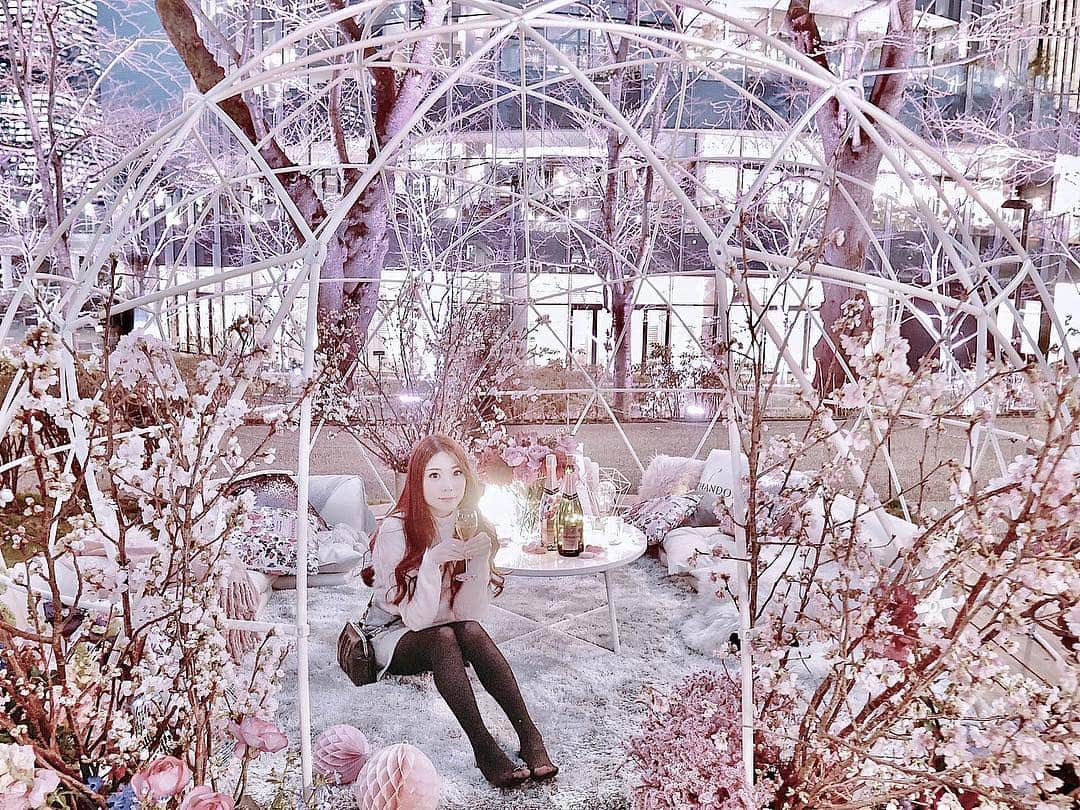 上野瞳さんのインスタグラム写真 - (上野瞳Instagram)「一足お先に夜の #お花見 をしてきました🌸﻿ ﻿ ﻿ 昨夜は #六本木の東京ミッドタウンガーデンで﻿ 3月15日～4月14日中に開催される﻿ 「CHANDON BLOSSOM LOUNGE 」﻿ オープニングセレモニーへ🙌﻿ 沢山のお花に囲まれたお家みたいなフォトスポット﻿ がすごく可愛かったです🥰❤️👏﻿ ﻿ あの通り全部桜だから咲いたら絶対綺麗だよね🌸﻿ #シャンパン も前は飲めなかったのに昨日は﻿ 美味しいー！ ってなっておかわりもらっちゃった﻿ くらいだから期間中また行こうかな😂✌️笑﻿ (最近どんどんお酒飲めるようになってる٩( 'ω' )و)﻿ ﻿ ﻿ ﻿ #お花見シャンドン #花見 #春 #桜 #さくら #サクラ﻿ #東京 #ミッドタウン #港区 #ガーデン #庭 #夜桜﻿ #花 #花のある生活 #東京ミッドタウン #OHANAMICHANDON #champagne #🍾﻿ #Roppongi #Tokyo #midtown #garden #lounge﻿ #sakura #cherryblossom #blossom #🌸」3月15日 23時02分 - hitomi.8