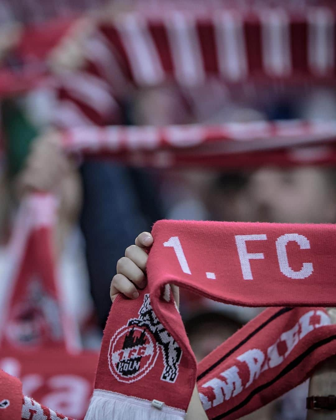 1.FCケルンさんのインスタグラム写真 - (1.FCケルンInstagram)「6.000 Fans begleiten den #effzeh zum Auswärtsspiel nach Duisburg! 👏🔴⚪ #Köln #Kölle #Fans #MSVKOE」3月15日 23時10分 - fckoeln