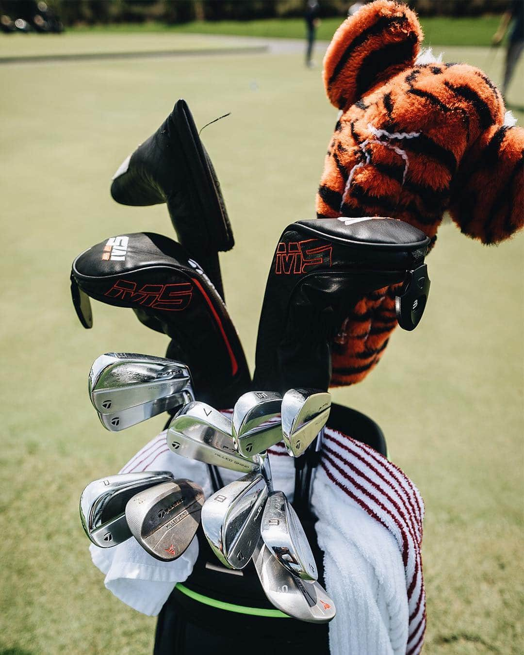 テーラーメイド ゴルフさんのインスタグラム写真 - (テーラーメイド ゴルフInstagram)「How did #TeamTaylorMade set up their bags to tackle Sawgrass this week? Hit the link in our bio to find out. #InjectedTwistFace #THEPLAYERS」3月15日 23時17分 - taylormadegolf