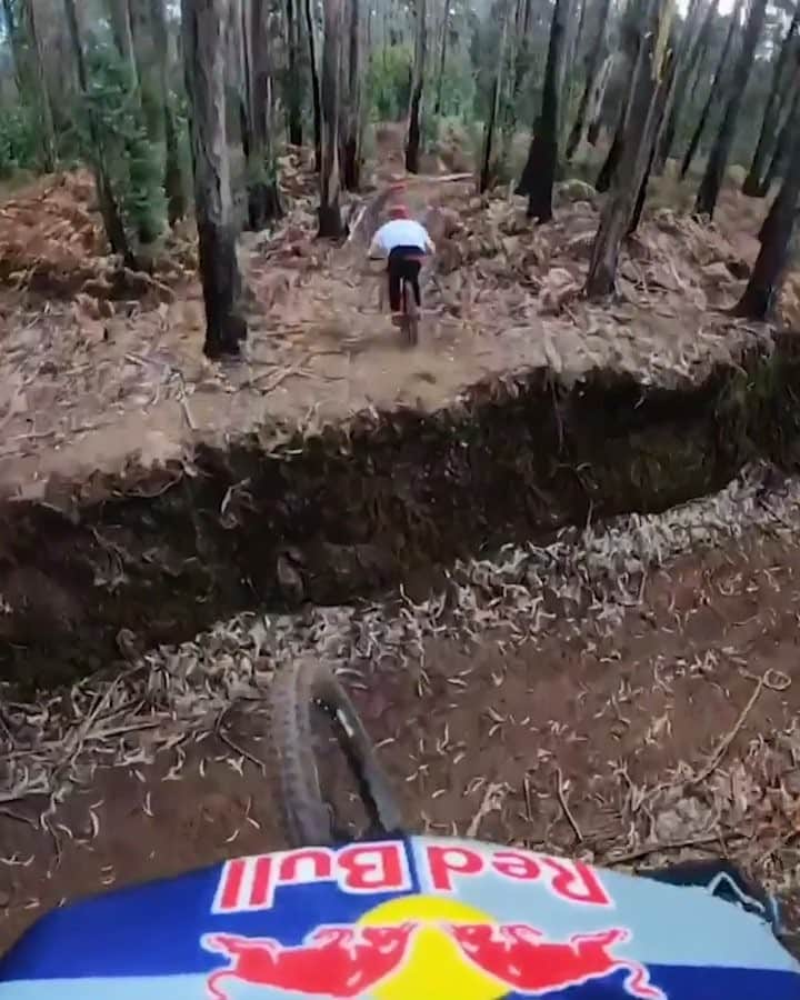 のインスタグラム：「When in doubt, pedal it out. 🚲: @tahneeseagrave @redbullbike #bikelife #gopro #pov #trail #mtb #downhill #redbull」