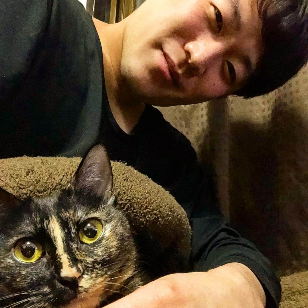 羽尻紘規さんのインスタグラム写真 - (羽尻紘規Instagram)「． エンペラー安井の家のお嬢さん てんちゃんとせんちゃん 会いたくなったので会いにいった ． #猫とは思えない社交性 #猫びっち #マジにゃんじ」3月16日 0時46分 - hajirihiroki