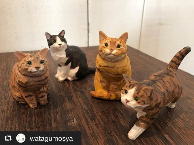 yamanekoさんのインスタグラム写真 - (yamanekoInstagram)「ありがとうございます！通販できるようですよ😺  #repost @watagumosya via @PhotoAroundApp ｢猫とよりみち展｣  出展作品  バンナイリョウジ @yamaneko5656  木彫のネコたち  オンラインショップにUPしました⌕ https://watagumosya.shop-pro.jp  #watagumo舎  #わたぐも舎 #猫とよりみち展 #バンナイリョウジ」3月16日 1時12分 - yamaneko5656