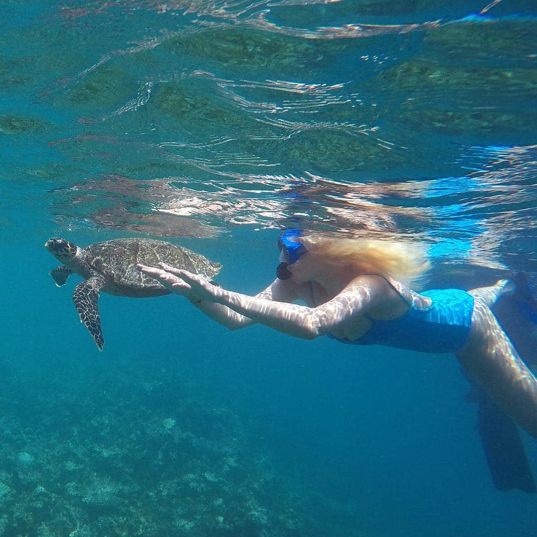 ヤナ・ルドコフスカヤさんのインスタグラム写真 - (ヤナ・ルドコフスカヤInstagram)「Dream coming true 🐢🌊 Мечты сбываются .... я мечтала поплавать с черепашкой и чтобы меня сняли #ктознаеттотпоймет ),но то камеру забыли включать,то забыли взять,то снять было некому ,то кадры не получались , никогда не складывалось ( Я 15 лет езжу на Мальдивы и только сегодня все у нас сложилось,я с ней плавала 15 минут в открытом океане и это было незабываемо , у меня теперь есть мини -фильм об этом ) 💙 @jumeirahvittaveli」3月16日 1時43分 - rudkovskayaofficial