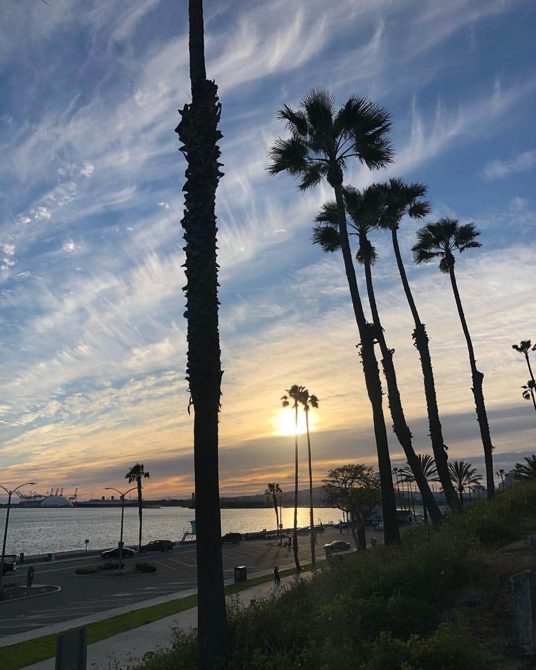 のインスタグラム：「単純なものが最高です。 愛してるよ. 良い週末を. The simple things are the best. I luv you Have a beautiful weekend. #caiya#カイヤ#川﨑介椰#insta#instagram#instagood #インスタ映え #california#californiaadventure#america #アメリカ#カリフォルニア#インスタ#インスタグラマー#インスタグッド#sunset#sunsetlover#サンセット #日没#longbeach#ロングビーチ#beach#ビーチ」