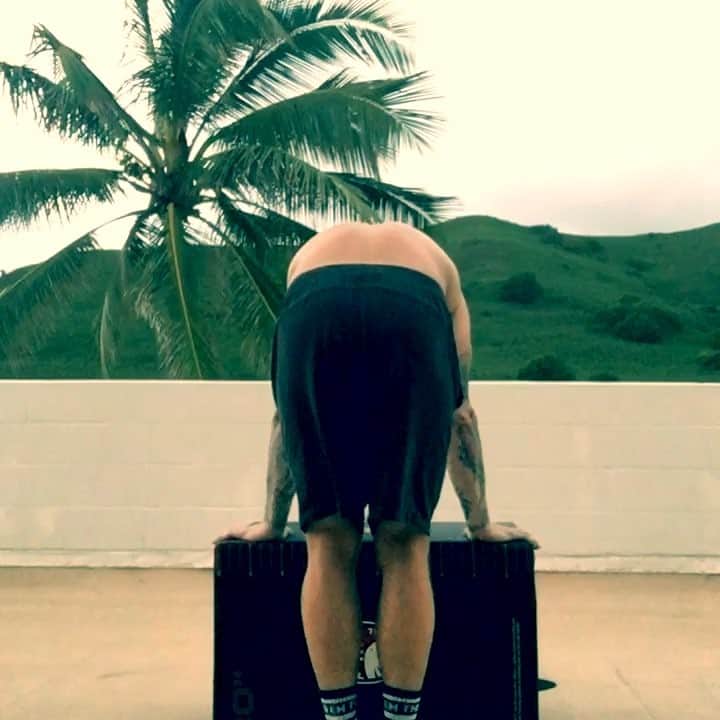 のインスタグラム：「I read today that headstands decrease the onset of grey hair 🧐 I call bs #greying #coreworkout #headstand #luckywelivehawaii #fitnessmotivation #workout #fitness #noshirt #tattoos #oahu #kailua」