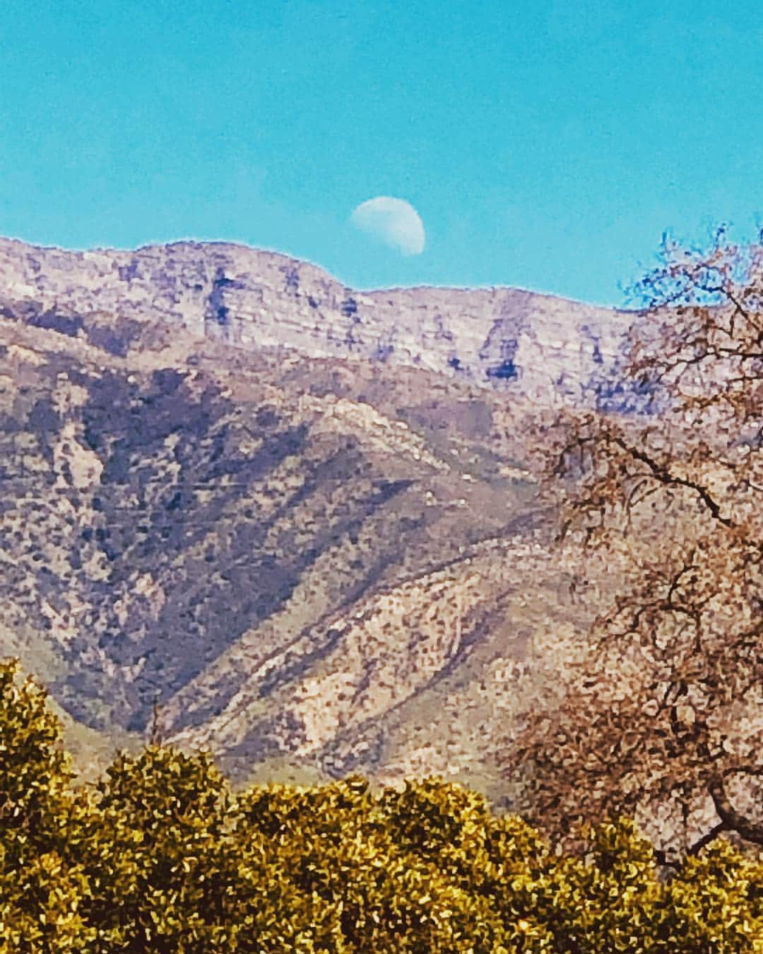 ポール・ブラックソーンさんのインスタグラム写真 - (ポール・ブラックソーンInstagram)「#Moonrise at 2 in the afternoon. How lovely.」3月16日 6時11分 - paulblackthorne