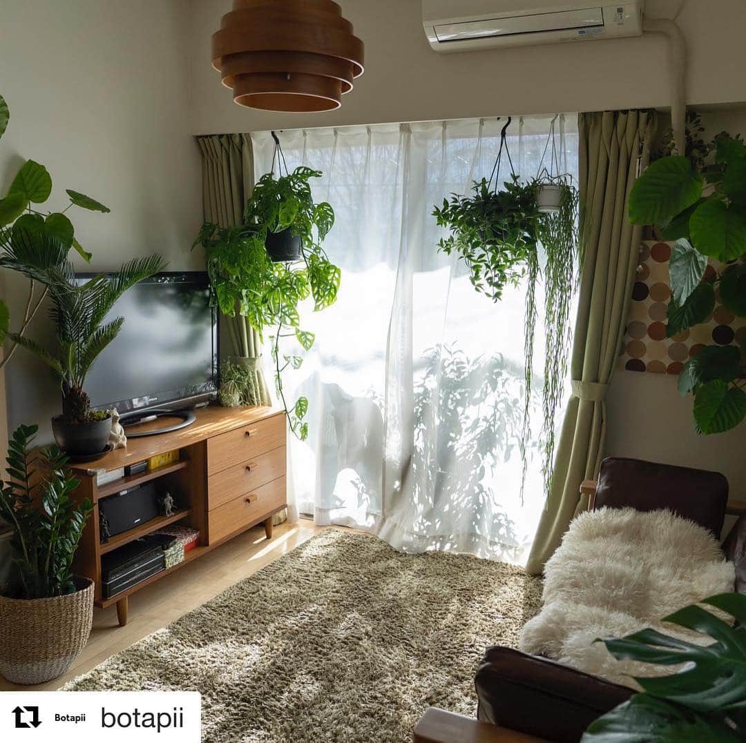 LOVEGREEN -植物と暮らしを豊かに。のインスタグラム