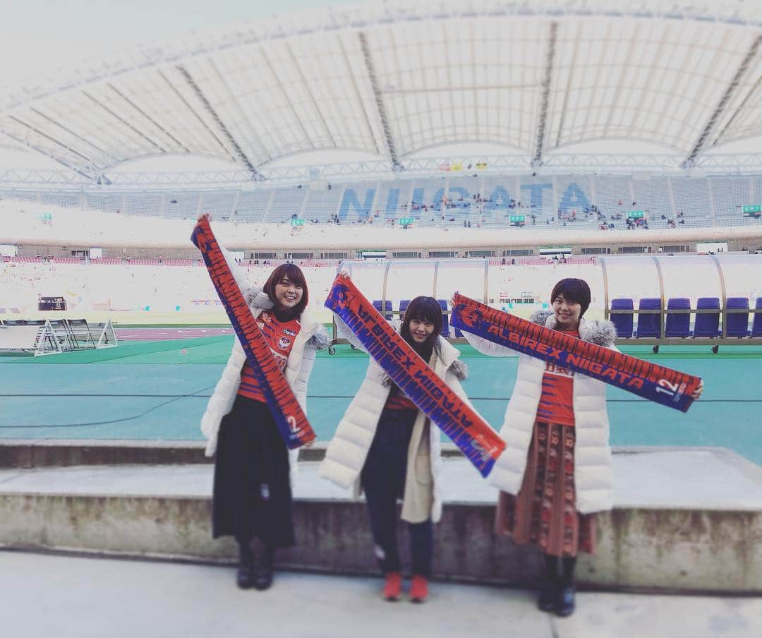Negiccoのインスタグラム