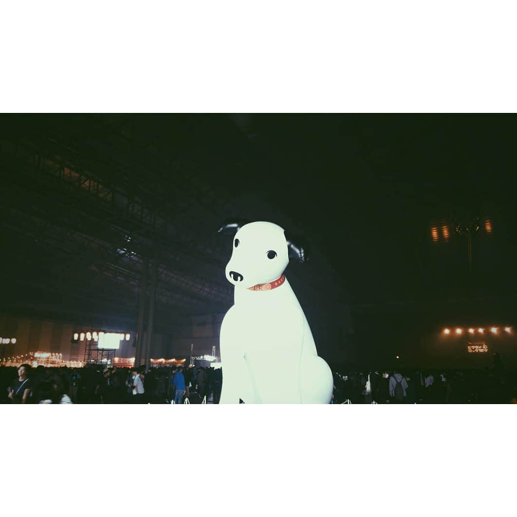 M-ON! MUSIC｜エムオンミュージックのインスタグラム：「﻿ ロックに熱いレーベルが主催するだけあって﻿ アーティストとの距離を近く感じられる﻿ #ビクターロック祭り の﻿ 空気感が好きです。[ジャガー]﻿ ﻿ #ビクターロック祭り2019﻿ #恒例となりつつあるニッパー撮影」