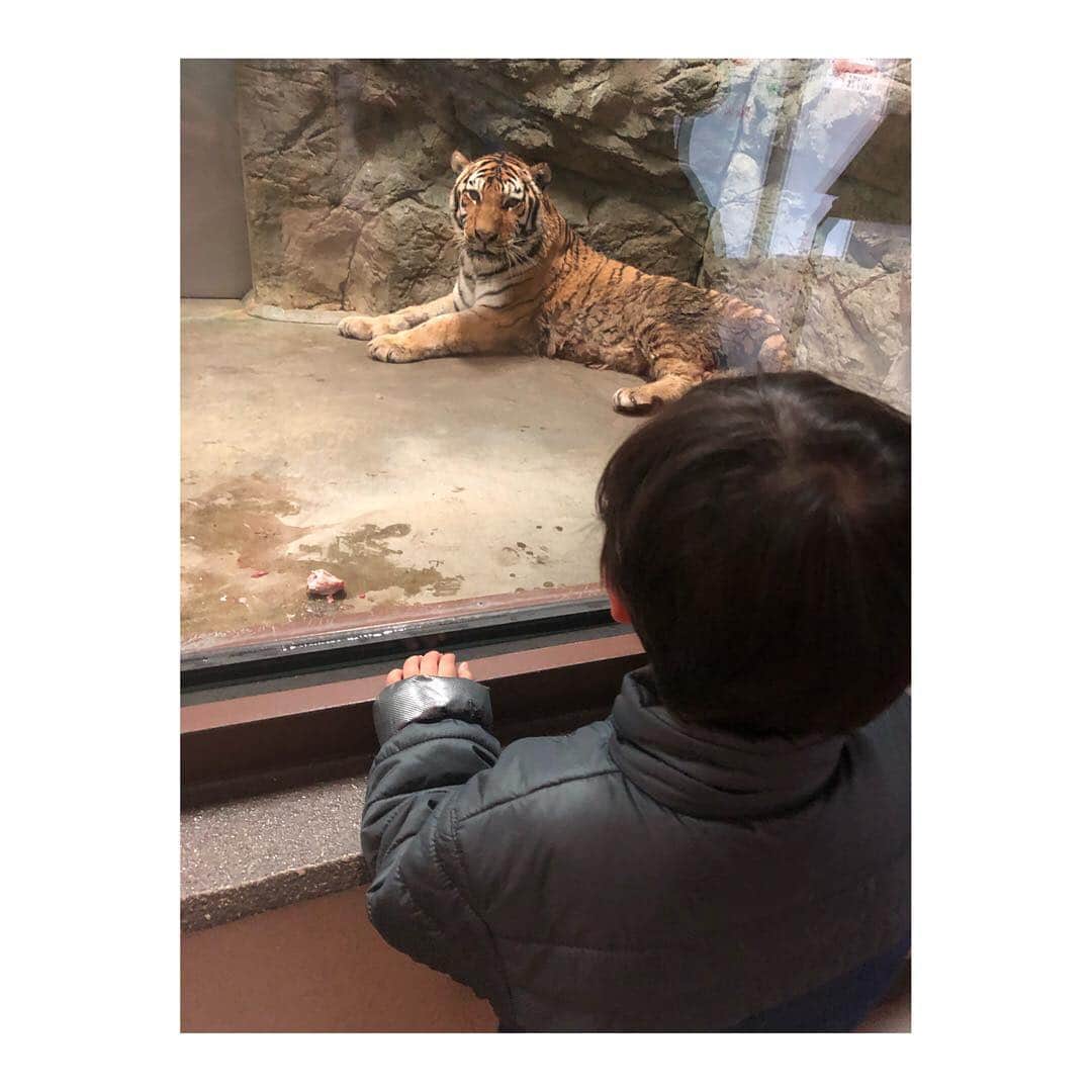 實石あづささんのインスタグラム写真 - (實石あづさInstagram)「. 子どもと一緒に動物園🦁 私が幼い頃、というか 静岡市近郊の幼稚園や小学校に 通っていたら ここはみんな必ず遠足で 訪れている気がする🤔 . 動物たちと意外と距離が近くて 私の方が テンション上がってたかも🤩 . #zoo #動物園 #日本平動物園  #日本平 #静岡市 #静岡 #shizuoka #weekend #おでかけ  #家族時間 #遠足の定番 #ふれあい動物園」3月16日 16時57分 - azusa_jitsuishi