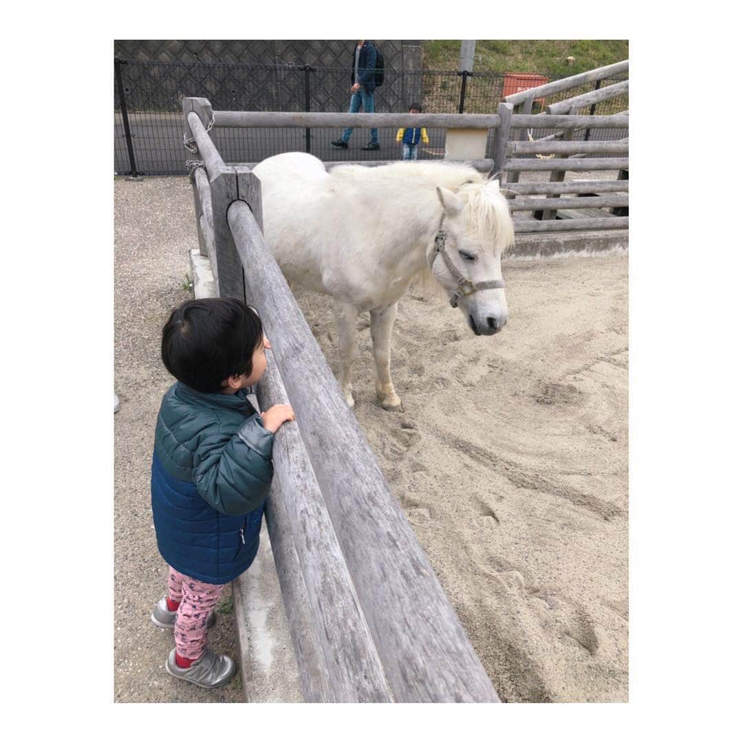 實石あづささんのインスタグラム写真 - (實石あづさInstagram)「. 子どもと一緒に動物園🦁 私が幼い頃、というか 静岡市近郊の幼稚園や小学校に 通っていたら ここはみんな必ず遠足で 訪れている気がする🤔 . 動物たちと意外と距離が近くて 私の方が テンション上がってたかも🤩 . #zoo #動物園 #日本平動物園  #日本平 #静岡市 #静岡 #shizuoka #weekend #おでかけ  #家族時間 #遠足の定番 #ふれあい動物園」3月16日 16時57分 - azusa_jitsuishi