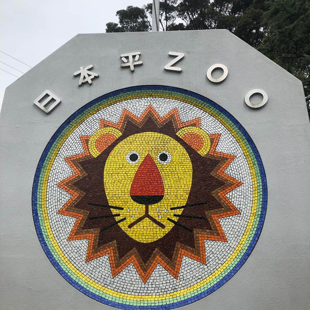 實石あづささんのインスタグラム写真 - (實石あづさInstagram)「. 子どもと一緒に動物園🦁 私が幼い頃、というか 静岡市近郊の幼稚園や小学校に 通っていたら ここはみんな必ず遠足で 訪れている気がする🤔 . 動物たちと意外と距離が近くて 私の方が テンション上がってたかも🤩 . #zoo #動物園 #日本平動物園  #日本平 #静岡市 #静岡 #shizuoka #weekend #おでかけ  #家族時間 #遠足の定番 #ふれあい動物園」3月16日 16時57分 - azusa_jitsuishi