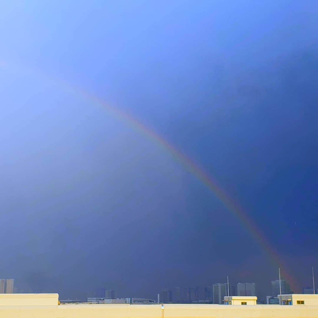 布川敏和さんのインスタグラム写真 - (布川敏和Instagram)「🌈東京の空に虹が出た～！ . #虹 #レインボー #東京 #空」3月16日 16時59分 - fukawatoshikazu