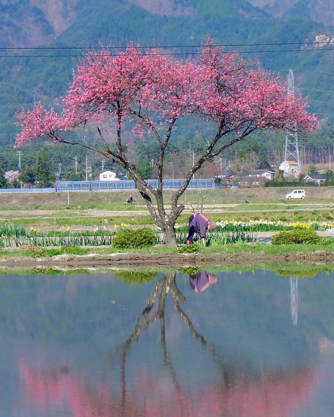 ?長野県 観光 公式インスタグラム のインスタグラム