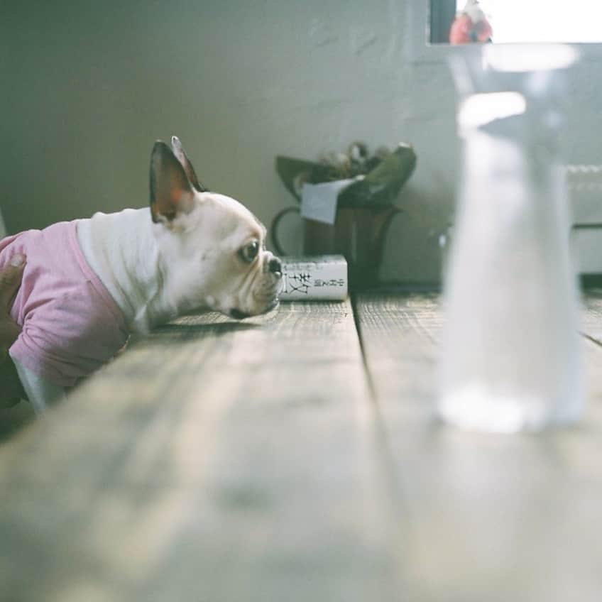 tetrrineのグルメインスタ