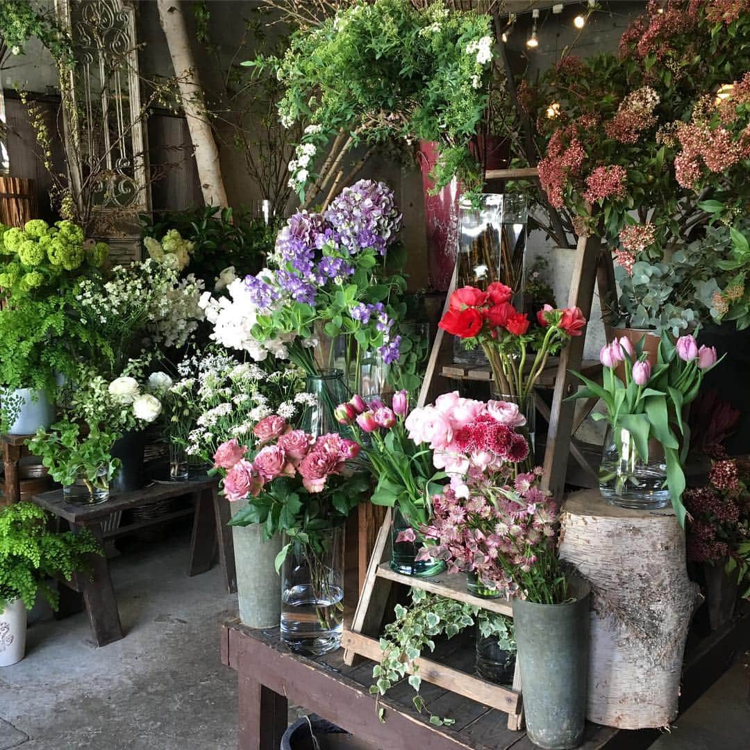 雑誌『花時間』さんのインスタグラム写真 - (雑誌『花時間』Instagram)「おはようございます。昨日は、こちらのお花屋さんで撮影でした。東京・用賀の『フルール ド ショコラ』さん。いつ訪ねても、どこかほっとする空気が流れています。おそらく、オーナーの古賀朝子さんのお人柄によもの（3枚めのpic）。花と、花器として使えるアンティークの食器類があり…そして、いつも飾らない笑顔で迎えてくれるんです。皆さんにも、そういう場所がありますよね？昨日はヒヤシンスやフリージアなどの春の香りでいっぱい。そこかしこで、花合わせのヒントも見つかるこのお店は、用賀駅から徒歩約10分。界隈の桜の名所、砧（きぬた）公園では、あと半月もしないうちに🌸🌸🌸 が見頃になりそうです。では、お仕事の方も、お休みの方も、素敵な週末になりますように。by ピーターパン  花屋さん @fleurs_de_chocolat  #hana #flower #flowers #flowerslovers #flowerstagram #花時間 #花時間2019 #花好き #花藝 #花好きな人と繋がりたい #花が好きな人と繋がりたい #花のある生活 #花のある暮らし #花屋さんへ行こう #フルールドショコラ #素敵な花屋さん #おしゃれな花屋さん #tokyoflowershop #botanicallife #花屋さんへ行こう」3月16日 9時35分 - hanajikan_magazine