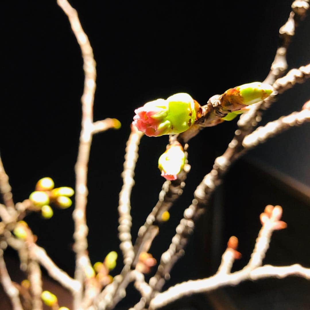 山人のグルメインスタ