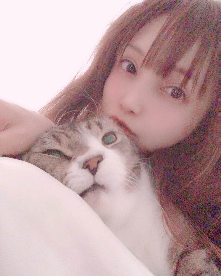 宇佐美あいりさんのインスタグラム写真 - (宇佐美あいりInstagram)「#おはよう さぎ🐰💓今日はオフ♬久々にランたんとツーショットでしかも2人とも寝起きwすっぴんボロボロやけど😹wランたんペチャンコになって寝てて下からのアングルで顔ウケる🤣w可愛い💕w  #愛猫#猫#ねこ#cat#고양이#애완동물#スコティッシュフォールド#귀여운#デブ猫#にゃんすた#にゃんすたグラム#みんねこ#ねこ部#ねこのきもち#猫好き#寝顔#寝起き#instacat#catstagram#猫バカ#グラドル自画撮り部#童顔#babyface#すっぴん#どすっぴん#すっぴん美人#ナチュラル#japanesegirl#followme」3月16日 9時59分 - airi.usami_official