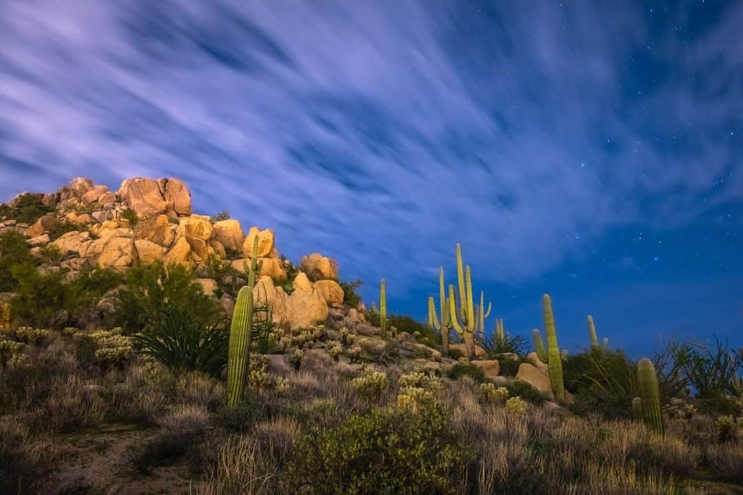 National Geographic Travelさんのインスタグラム写真 - (National Geographic TravelInstagram)「Photo by @michaelclarkphoto | Saguaro cacti under a starry sky with thinly veiled clouds above in Scottsdale, Arizona. #arizona #saguaro #cacti」3月16日 10時05分 - natgeotravel