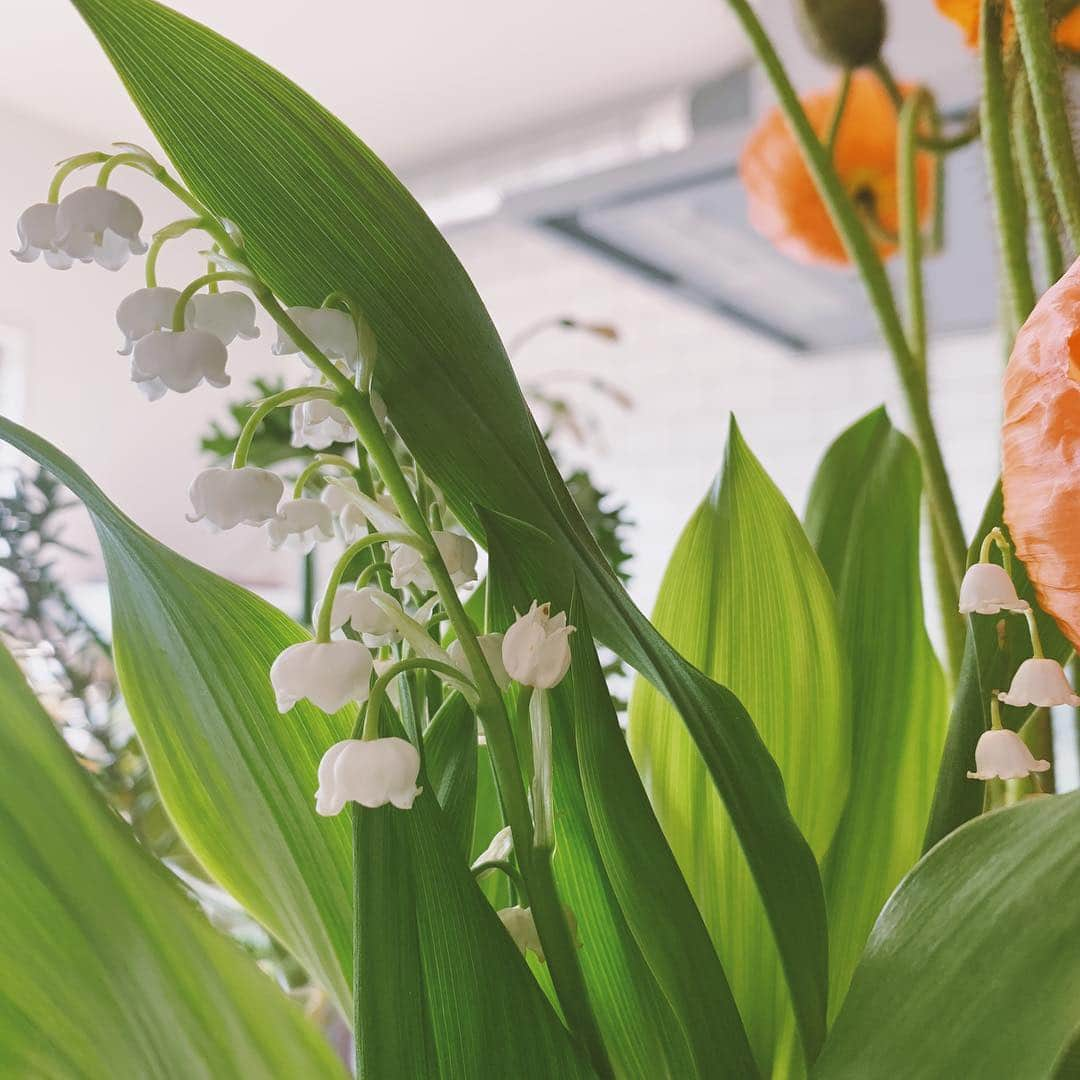 佐々木茜さんのインスタグラム写真 - (佐々木茜Instagram)「. . 最近はまっているもの、 お花はグリーンが多めのもの🌿  飲み物はカモミールティーラテ （冬はずっとほうじ茶ティーラテだったけれど、 花粉症ひどくてカモミールがすっきりしていいです、 甘さなしで無脂肪ミルクにしています🥛） 食べ物はフルーツサンド、やっぱりメルヘン美味しいね ル・シャトーの貴腐ワイン漬けレーズンチョコは、 口に入れた瞬間にふわーっと香る・・ 美味しいからたくさん食べたい、ではなく 一回につき一粒だけを じっくりゆっくり味わいたい感じ🍫 kate spadeのバスケットは中まで可愛くて幸せ、 そして大好きなあげ潮をおみやげでいただいて😍💚 . おすすめの映画を教えてくださった方 ありがとうございました、読みながら あっ見たことある🙋‍♀️、 見たかったのだ！💁‍♀️ 知らなかった、気になる〜🤷‍♀️ ってワクワクしました🌿見ます🌿 . 今から📸、もう来年の秋冬か早いなぁ。」3月16日 10時39分 - akane_madder2