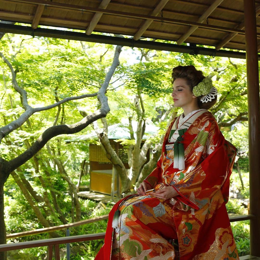 The KAMAKURA WEDDINGさんのインスタグラム写真 - (The KAMAKURA WEDDINGInstagram)「【川島織物】 婚礼衣装の製作は今はおこなっていない為貴重な一枚。日本に伝わる五彩「赤、白、黄、緑、紫」を艶やかにまるで一幅の絵画ような意匠となっていて優しい印象を与えます。  #結婚式 #ウェディング #結婚式準備 #花嫁 #着物 #和装 #色打掛#コーディネート #ロケーションフォト#フォトウエディング#ウエディングフォト#ウエディング#鎌倉 #湘南 #神社 #寺 #フォトジェニック #フォトウェディング #感謝 #和婚  #披露宴会場#プレ花嫁#日本庭園#和風#一条恵観山荘」3月16日 11時11分 - thekamakurawedding