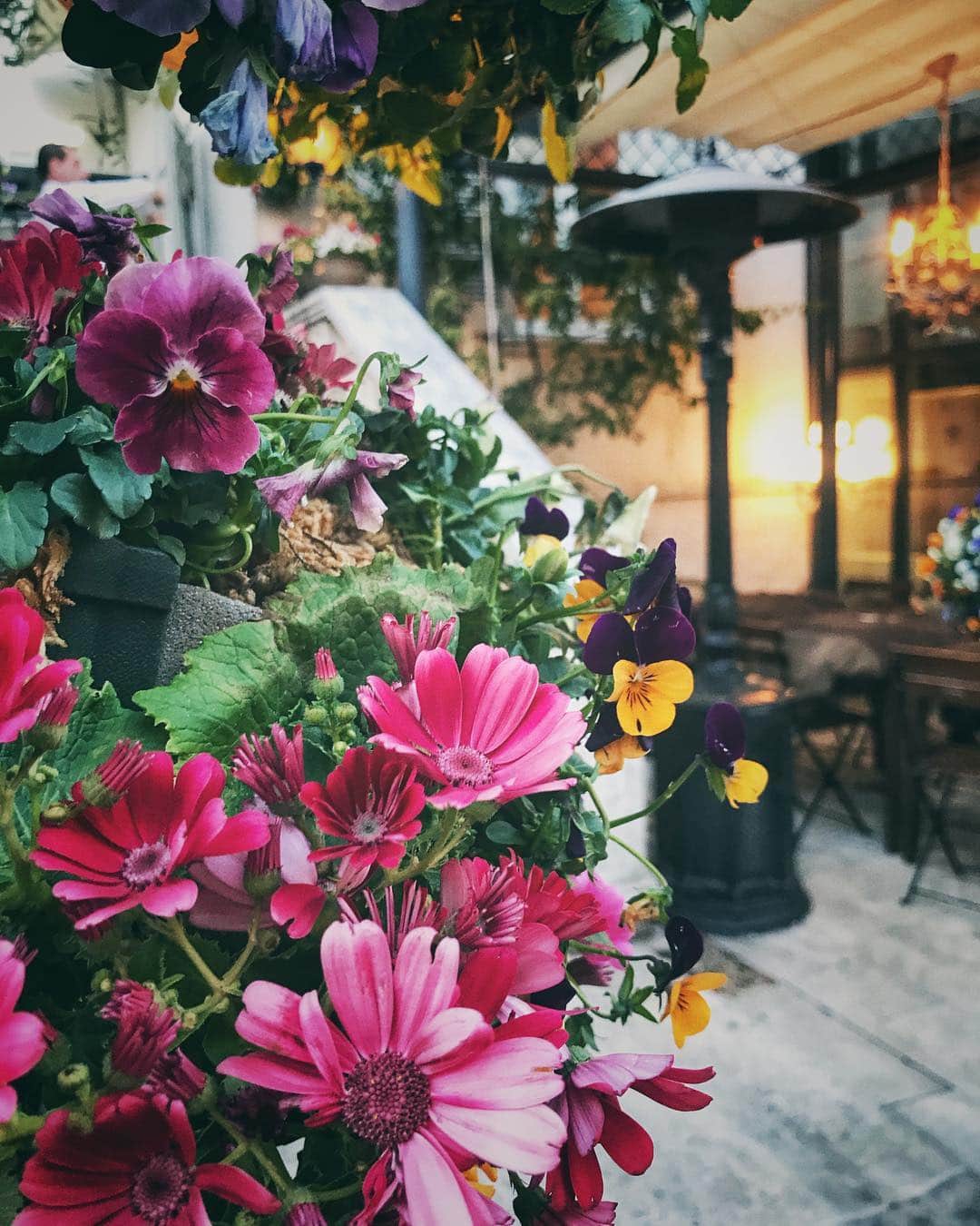 のインスタグラム：「おはよう🌸 ・ #love #good #gm #happy #flower #life #instagood」