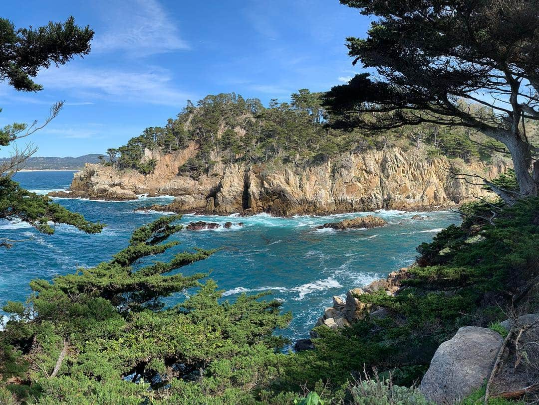 カミ・モローネさんのインスタグラム写真 - (カミ・モローネInstagram)「First timer #bigsur 🌲」3月16日 12時20分 - camilamorrone