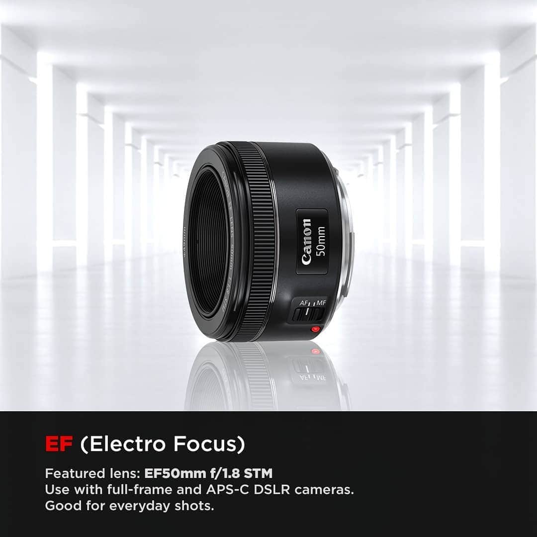 Canon Asiaさんのインスタグラム写真 - (Canon AsiaInstagram)「It's time to celebrate as Canon commemorates producing 140 million EF and RF lenses worldwide! We couldn't have done it without YOU 🎉 Swipe to learn more about the different types of EF lenses available which are affordable and great for your everyday usage to produce your desired photography 📷  Tell us which is your favourite EF lens you own, we would love to hear from you! ❤️ . #CanonEOS5DMarkIV #5DMarkIV #Canon5DMarkIV #EOS200D #CanonEOS200D #Canon200D #CanonEOS77D #77D #Canon77D #CanonEOS7DMarkII #7DMarkII #Canon7DMarkII #CanonEOS70D #Canon70D #70D #CanonEOS80D #Canon80D #Canon80D #CanonAsia #Photography #CanonPhotography」3月16日 13時00分 - canonasia