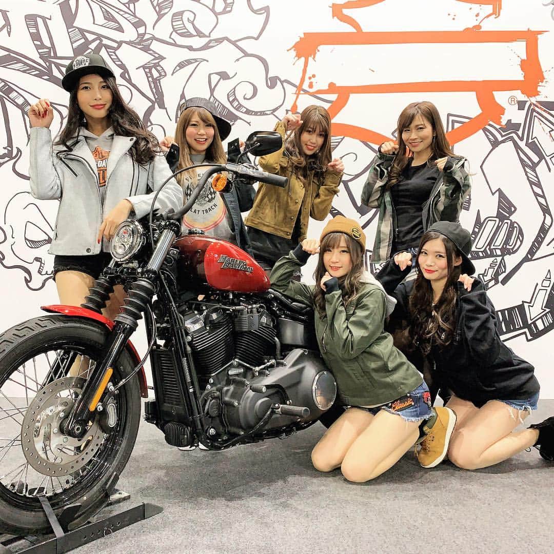 Harley-Davidson Japanさんのインスタグラム写真 - (Harley-Davidson JapanInstagram)「待ってるニャン😻  #ハーレー #harley #ハーレーダビッドソン #harleydavidson #バイク #bike #オートバイ #motorcycle #イベント #event #大阪モーターサイクルショー2019 #omcs2019 #インテックス大阪 intexosaka #猫 #ネコ #cat #2019 自由 #freedom」3月16日 14時10分 - harleydavidsonjapan