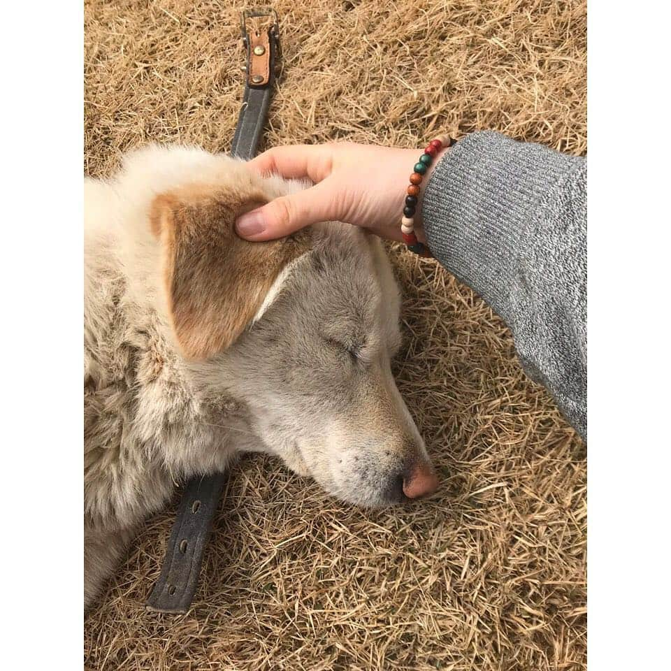 宇宙少女さんのインスタグラム写真 - (宇宙少女Instagram)「럭키근황 🐶 봄이 오나봐요 저도 자꾸 눕고싶네요 멍멍 우정 형누나들 또 만나요 멍멍🐶🐶🐶 #우주스타그램 #우주소녀 #수빈」3月16日 14時19分 - wjsn_cosmic