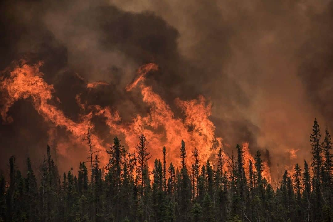 ナショナルジオグラフィックさんのインスタグラム写真 - (ナショナルジオグラフィックInstagram)「Photo by @james_balog | Harnessing fire was a breakthrough in human evolution. Now it is once again out of our control. The cost of fighting U.S. wildfires topped $2 billion in 2017. The annual number of large fires (>1,000 acres) in America has tripled since the 1970s, and today’s wildfires burn six times more land area per year than they did four decades ago. A California firefighter told me during my time shooting the Soberanes Fire for my latest documentary: “It’s fire season pretty much year-round.” Human activities–fire suppression tactics, our contributions to climate change, and housing developments in wildfire territories–make us unwitting sparks. Ignorantia juris non excusat: Ignorance of the laws of nature does not protect you from them. Follow my work @james_balog.」3月16日 15時03分 - natgeo