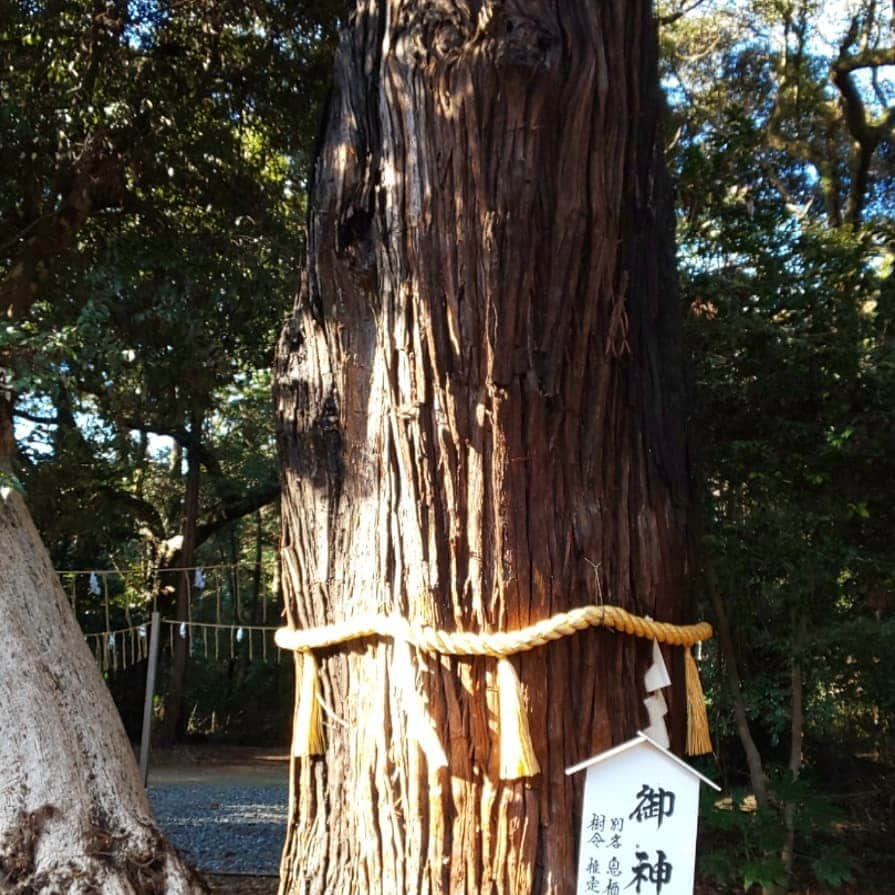 LOVE ME DOさんのインスタグラム写真 - (LOVE ME DOInstagram)「茨城県の息栖神社へ行きました！ #茨城県 #息栖神社 #御朱印巡りの旅 #御朱印 #神社巡りの旅 #パワースポット #LoveMeDoパワースポット #LoveMeDo神社 #ラブちゃんパワースポット #ラブちゃん神社 #ラブちゃん神社巡り LoveMeDo神社巡り」3月16日 15時25分 - lovemedo_fortunteller