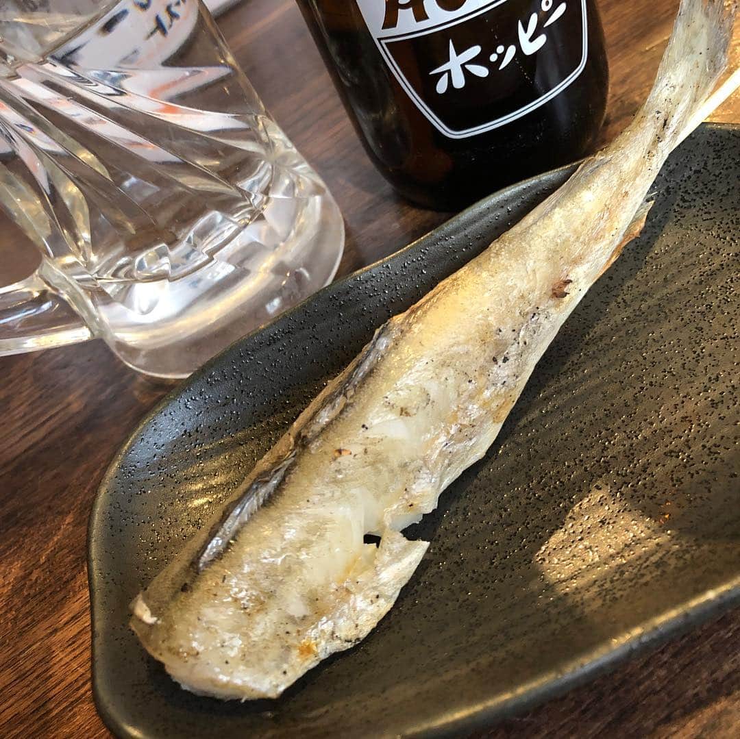 のインスタグラム：「氷下魚はコマイ、アイヌ語で「小さな音がするもの」という意味だと北海道の博物館で知った。 #高円寺 #博多や #焼き鳥 #ホッピー #炭火焼き #氷下魚 #foodie #foodstagram」