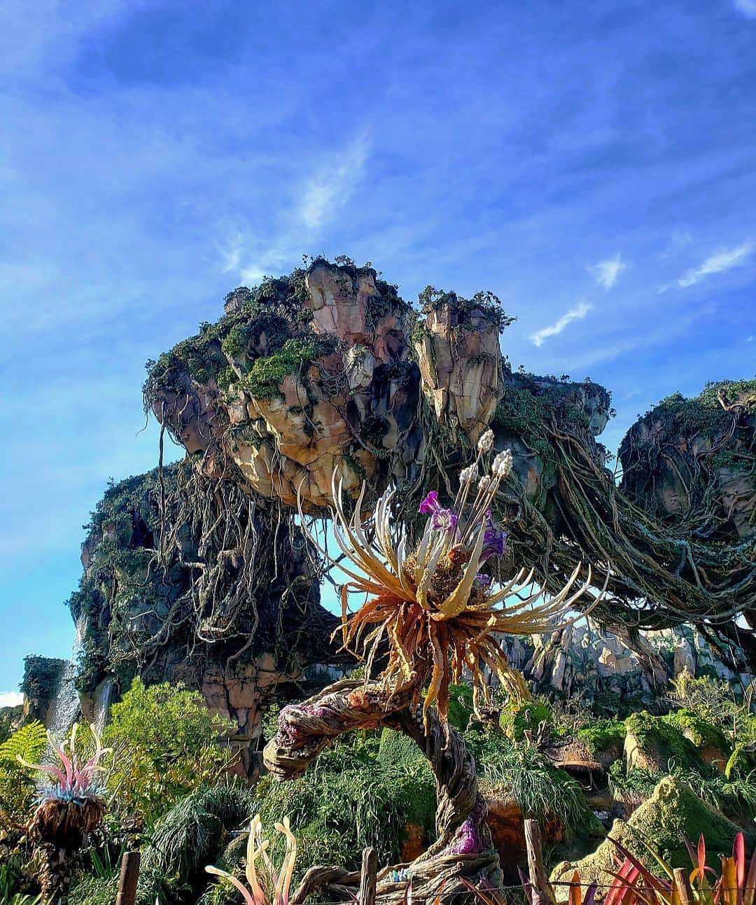 Walt Disney Worldのインスタグラム：「Discover a world like no other! #AnimalKingdom #WaltDisneyWorld (📷: @kazsdisneyworld)」