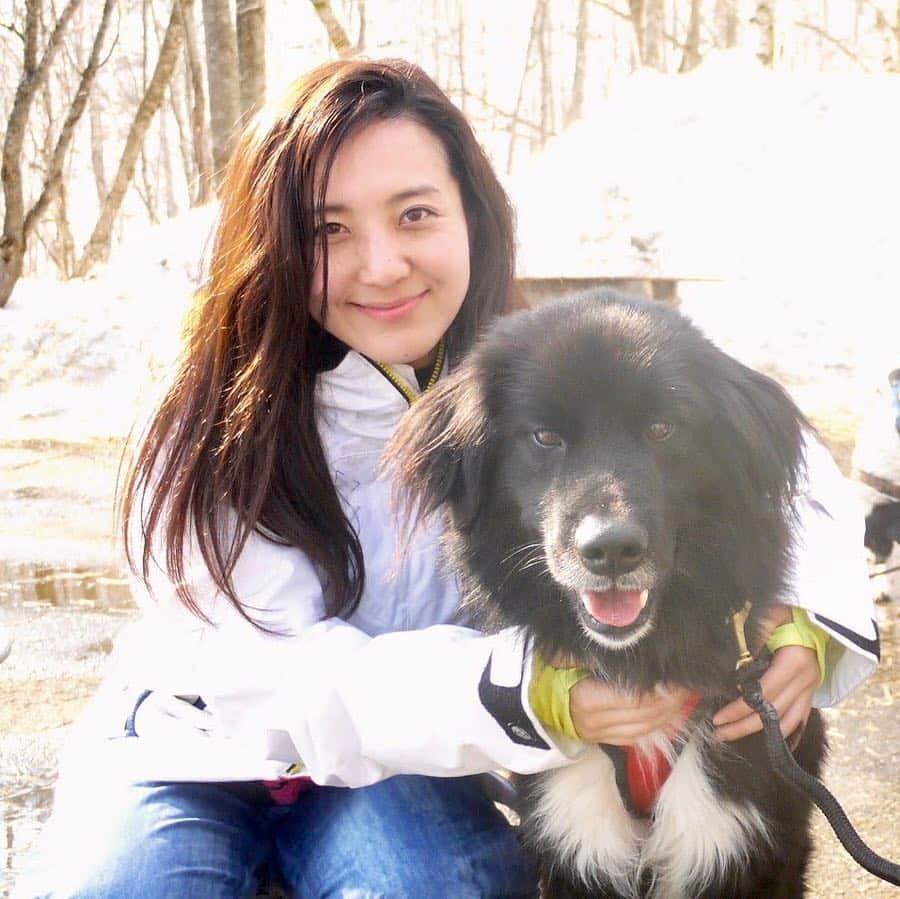 のインスタグラム：「🛷 北海道で犬ゾリ体験してきました🐶 8匹のワンコに引いてもらって雪の中を進むのですが、バランスとか、犬たちとのコミュニケーションが難しくて、そもそも想像以上に体力的にキツい！ ワンコたちが可愛くて景色良くて楽しかったー✨ 貴重な経験ができました♫ #富良野 #トマム #犬ゾリ」