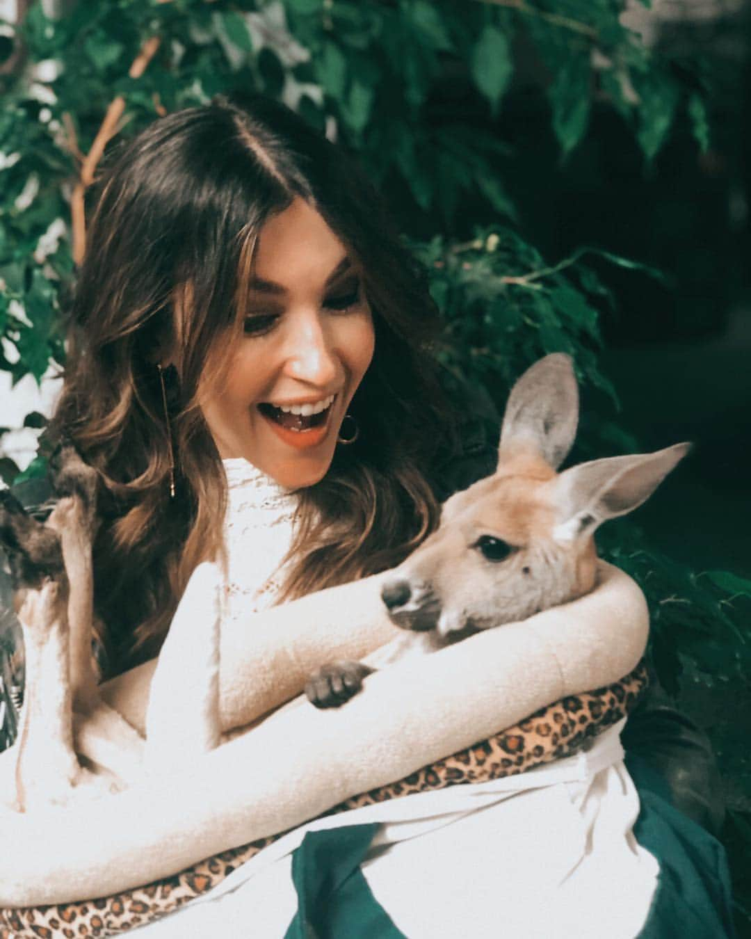 ケイト・ボイージェルさんのインスタグラム写真 - (ケイト・ボイージェルInstagram)「if you need me I’ll be holding this baby kangaroo at my favorite winery all weekend 🍷🦘her name is Jilly and she’s the sweetest thing. I didn’t think @tobinjamescellars could get any cooler but here we are!」3月17日 2時21分 - katevoegele