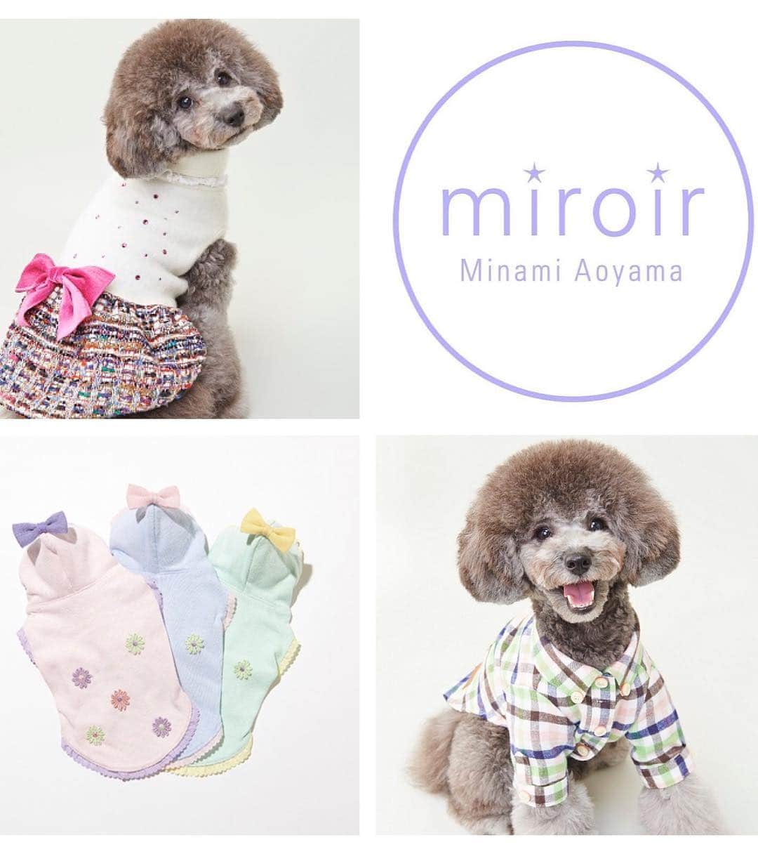 miroir ?miroir(ミロワール)?さんのインスタグラム写真 - (miroir ?miroir(ミロワール)?Instagram)「* * Miss BIBIオリジナルブランド miroirが2019年4月末をもちまして終了する事になりました。 miroirをご愛顧いただきまして誠にありがとうございました。 4月12日(金)〜4月30日(火)までmiroirのセールを予定しております！ 南青山店・広尾店にて開催予定。 ぜひこの機会に皆様のご来店を心よりお待ちしております。 * * #missbibi#minamiaoyama#hiroo#trimmingsalon #miroir#dog#dogwear  #ミスビビ#南青山#広尾#オリジナルブランド#ミロワール #セール#犬服#可愛い#オシャレ」3月16日 17時30分 - miroir.japan