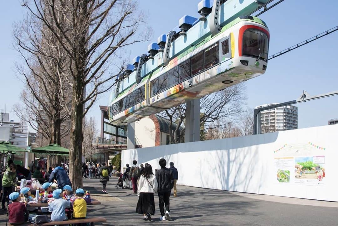 東京都庁広報課さんのインスタグラム写真 - (東京都庁広報課Instagram)「「恩賜上野動物園（台東区）／Ueno Zoological Gardens (2019.3.15撮影)」最寄駅：上野  #上野 #モノレール #uenozoo #上野動物園 #ueno #zoo #zoological #beautifuldestinations #tokyotrip #tokyotravel #passionpassport #tokyojapan #instatokyo #loves_nippon #phos_japan #bestjapanpics #cooljapan #japan_of_insta #discovertokyo #photo_jpn #東京観光 #東京旅行 #illgrammers #景色 #お出かけ #東京 #Tokyo #东京 #도쿄 #도쿄여행」3月16日 17時30分 - tocho_koho_official