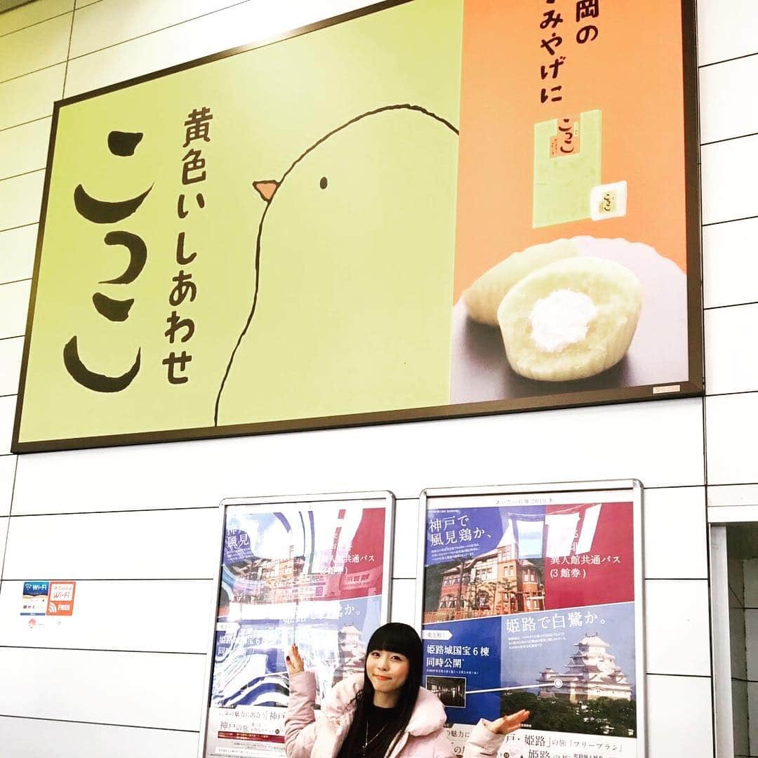 寺嶋由芙さんのインスタグラム写真 - (寺嶋由芙Instagram)「一瞬しかいられなかったけど静岡満喫したよ、新幹線でうなぎのおべんと食べた、ぜーたく！うなもちゃん元気かなー(ﾟωﾟ) ・ こっこ大好きマンなので箱買いしました、明日の石川現場、アイドルさんいっぱいだからみんなで食べようと思って(ﾟωﾟ)♪ でもその前に今は名古屋にいまーす！リリイベは続く！ ・ #ゆっふぃー #アイドル #いい女をよろしく #静岡 #名古屋 #石川 #遠征 #うなぎ #駅弁 #こっこ #お土産 #おいしい #うれしい #るんたった」3月16日 17時46分 - yufu_terashima