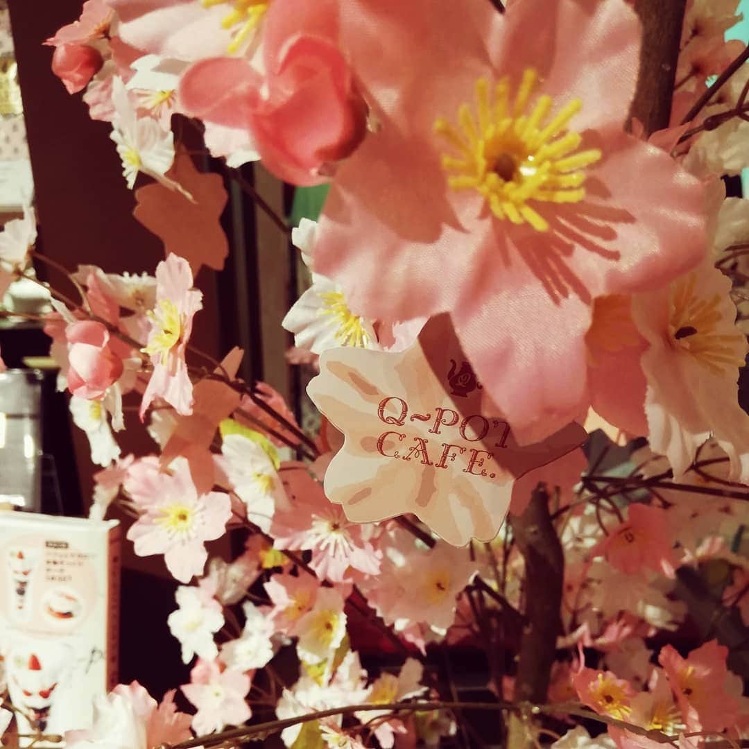 野川さくらさんのインスタグラム写真 - (野川さくらInstagram)「2019.3 #春のお誕生日会♡ #お誕生日の近い仲良し３人で♪ #キューポットカフェ #サクラアフターヌーンティー #ふしだりほ　ちゃん #マネージャーのゆんなちゃん #お誕生日おめでとう！ #桜 #さくにゃん平成最後の17歳 #にゃんスタグラム #わたしもさくら2019 #わたしもさくら #野川さくら #さくにゃん #野川さくらのチョコレートたいむ第24回目」3月16日 17時47分 - sakura_nogawa
