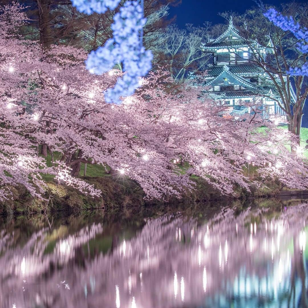 楽天トラベル さんのインスタグラム写真 - (楽天トラベル Instagram)「🌸いよいよ桜のシーズン到来🌸 そこで今日からは、皆様からの投票で決まった今年見に行きたいお花見スポットランキングをご紹介していきます👇🏻※写真は過去の開花時のものです . 第20位は #新潟県 #高田公園  #日本三大夜桜 のひとつに数えられる桜の名所です。観桜会期間中は様々なイベントや催しが行われます✨ 【高田城百万人観桜会】 2019/4/1～4/15 ライトアップ日没～21:00（桜最盛期は～22:00） . *********************** 旅先で撮った素敵な写真に @rakutentravel をタグ付けしてシェアしてね♪ 厳選してこのアカウントで紹介させていただきます！ *********************** . #楽天トラベル #楽天  #rakutentravel #旅 #旅行 #旅に出よう #旅行好きな人と繋がりたい #travel #trip #日本 #japan #일본 #instagramjapan #IG_JAPAN #japantrip #桜 #夜桜 #sakura #cherryblossom #桜の名所 #春 #新潟 #niigata」3月16日 18時00分 - rakutentravel