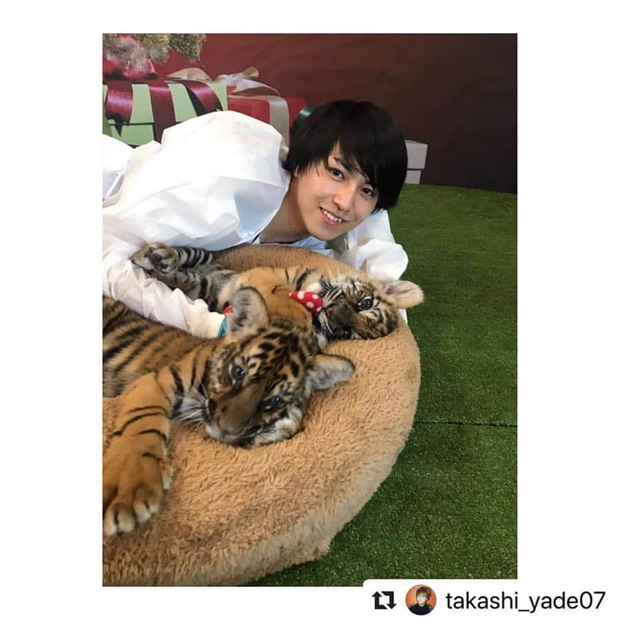 タイ国政府観光庁さんのインスタグラム写真 - (タイ国政府観光庁Instagram)「6人組ダンスボーカルグループ「超特急」のタカシさんが3/9発売のスクーバダイビング専門誌『DIVER』4月号の表紙と巻頭特集に登場✨﻿ ﻿ タイ南部のプーケットとダイバーの聖地・シミラン諸島でダイビングを楽しんだ様子を大特集しています🐠﻿ ﻿ タカシさんのインスタグラムアカウント @takashi_yade07 ではオフショットも公開中です😍﻿ ﻿ ・・・・・・﻿ #Repost @takashi_yade07﻿ ﻿ 赤ちゃんトラとDIVER編集長が書いたトラフザメのイラストも載せちゃいます笑﻿ ﻿ 天国がタイにありました。。。 新しいタイの魅力も見つけれたし、スキューバダイビングの楽しさも改めて感じれた撮影やったなあ。﻿ ﻿ ライセンス取得してるから、もっと色んなところに潜りにいきたい^ ^﻿ ﻿ 関わってくれた皆様ホンマにありがとうございました！﻿ ﻿ #超特急﻿ #タカシ﻿ #DIVER ﻿ #タイ﻿ #thai﻿ #トラ﻿ #tiger ﻿ #tigerkingdom﻿ #トラフザメ﻿ ﻿」3月16日 18時32分 - amazingthailandjp