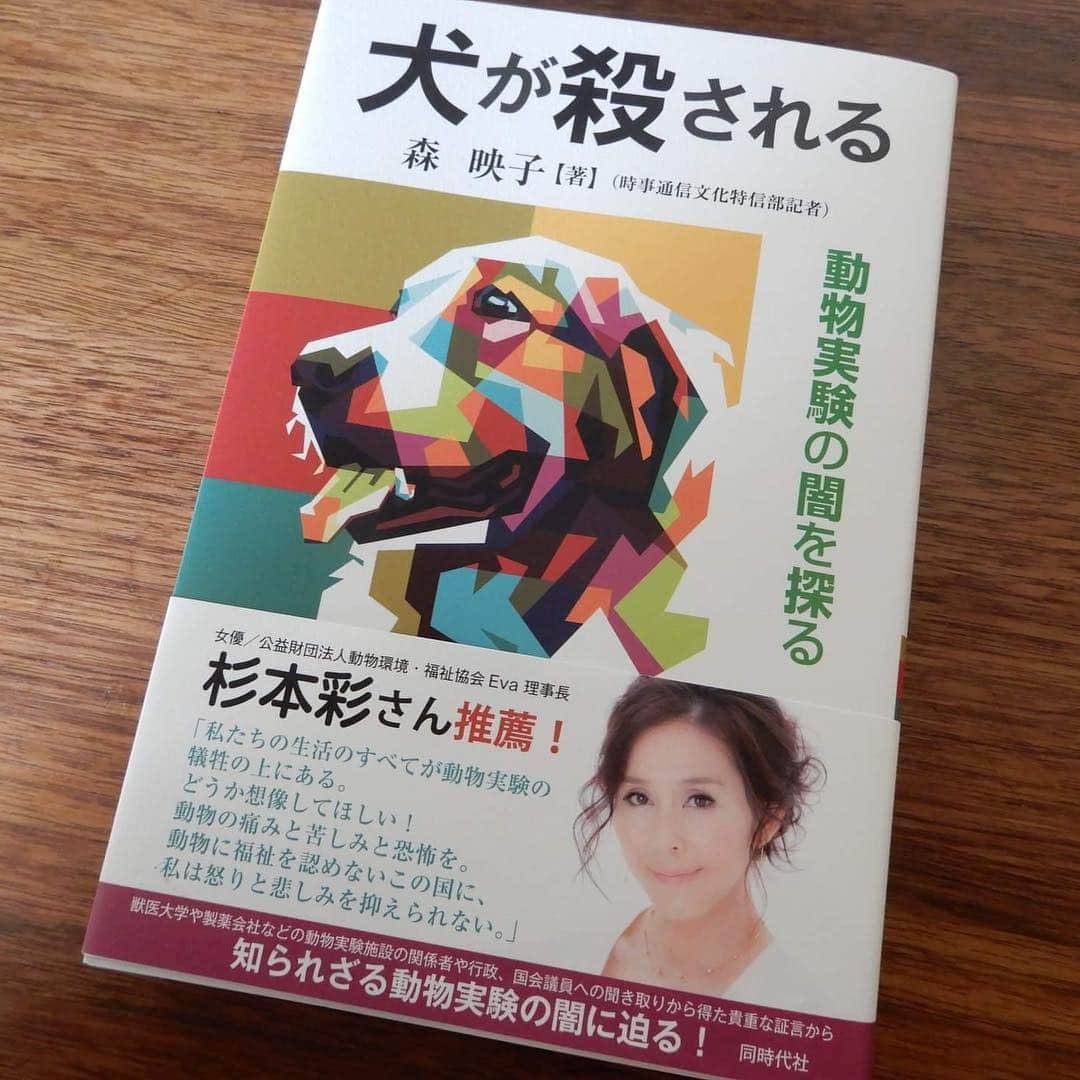 杉本彩さんのインスタグラム写真 - (杉本彩Instagram)「推薦書籍❗️ 記者 森映子さん渾身のルポルタージュ「犬が殺される〜動物実験の闇を探る」 是非お読みください！ * * 「私たちの生活のすべてが動物実験の犠牲の上にある。  どうか想像してほしい！  動物の痛みと苦しみと恐怖を。 動物に福祉を認めないこの国に、私は怒りと悲しみを抑えられない。」 * * 以下、同時代社サイトから* * ↓↓↓↓↓↓↓* * * 「毎日開腹して縫って、また腹を切る――」 ある獣医大学では近年まで、 同じ犬を複数の手術で5日間使うという実習があったという…  医薬品、健康食品、化学製品、農薬などの研究開発、安全性確認、毒性の評価など、 あらゆる分野で人類に関係している動物実験。だがその実情はほとんど知られていない。 著者はときに取材拒否に直面しつつも、日本の動物実験の現状を粘り強く追う。  獣医大学や製薬会社などの動物実験施設の関係者や 行政、国会議員への聞き取りから得た貴重な証言。  はたして犠牲になる実験動物はどのような環境で飼育されているのか。 痛みを和らげる処置は受けているのか。安楽死は適切に行われているのか。 その動物実験は必要不可欠なのか。代替法開発はどうなっているのか。 ペットとして譲渡された元実験犬との出会い――。渾身のルポルタージュ！  私のブログにて、私の思いや動物愛護法の改正における実験動物の扱いについて、現在どのような状況かは詳しく書かせていただきましたので是非ご覧ください。  #犬が殺される #動物実験の闇を探る #同時代社 #動物実験 #実験動物 #動物福祉 #動物愛護法改正 #公益財団法人動物環境福祉協会Eva #どうぶつ2020プロジェクト」3月16日 18時47分 - sugimoto_aya0719