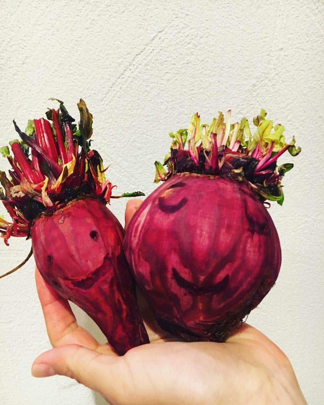SHANTIさんのインスタグラム写真 - (SHANTIInstagram)「These beets were so nice I just had to lol Almost sad to eat them. ビーツが可愛すぎて顔を描いてしまった 笑 #beets #ビーツ #やさい #redfood」3月16日 19時02分 - shantimusic