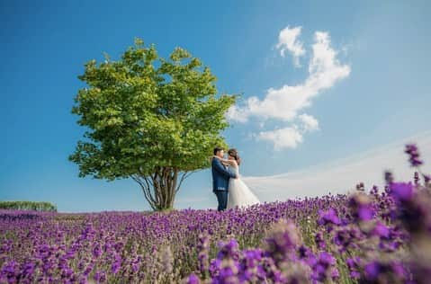 Decollte Wedding Photographyさんのインスタグラム写真 - (Decollte Wedding PhotographyInstagram)「We are having Hokkaido Summer Campaign 2019 NOW! ・ @studiosola_hokkaido ・ @decollte_weddingphoto @decollte_weddingstyle ・ #Japan #Hokkaido #lavender #summer #overseasprewedding #weddinginspiration #weddingphotography #romantic #bride #lovely #funny #weddingdress #happiness #love #日本 #北海道 #夏天 #薰衣草 #花海 #婚紗攝影 #海外婚紗 #新娘 #花嫁 #婚紗 #唯美 #婚展優惠 #自然 #신부 #웨딩 #웨딩사진」3月16日 19時07分 - d_weddingphoto_jp