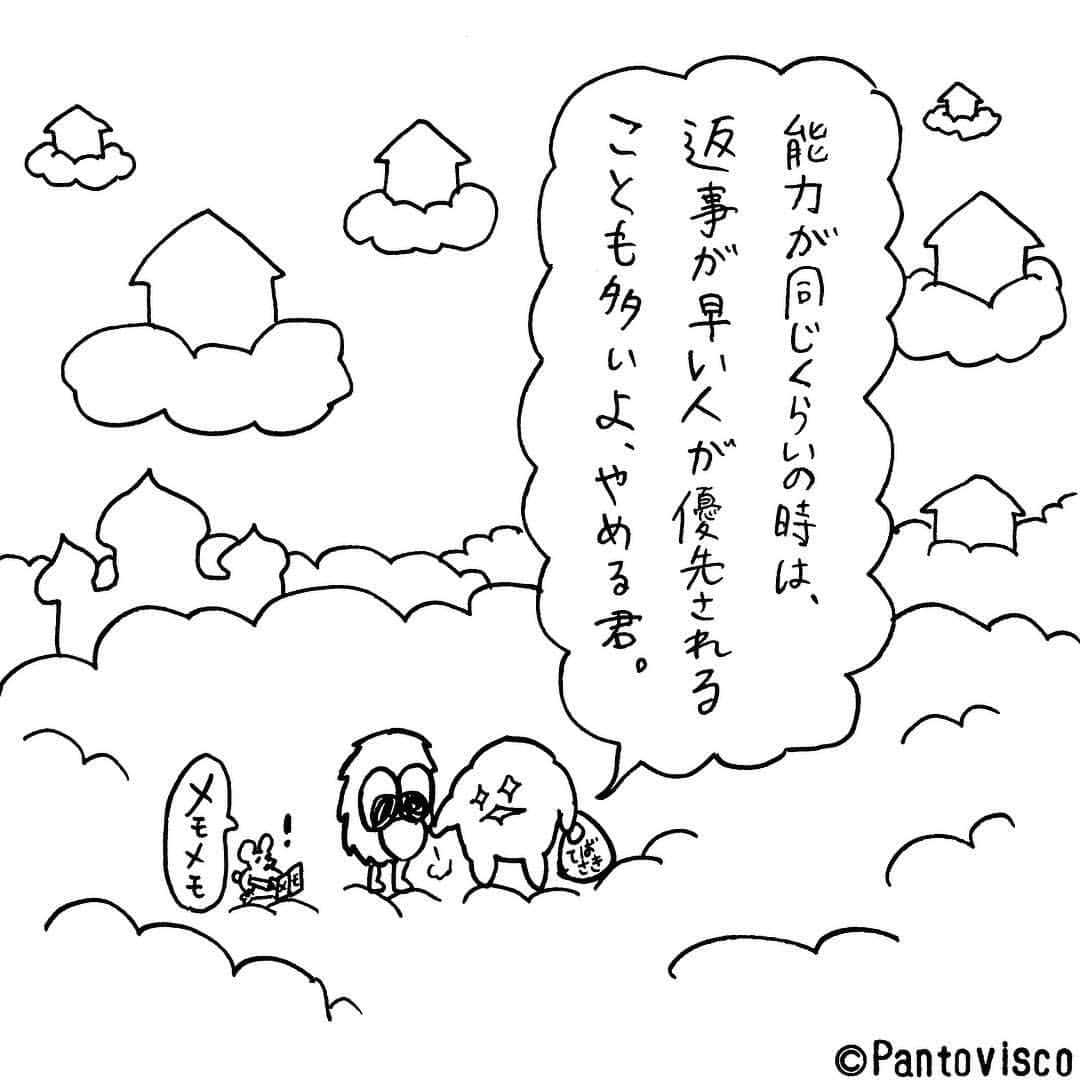 pantoviscoのインスタグラム